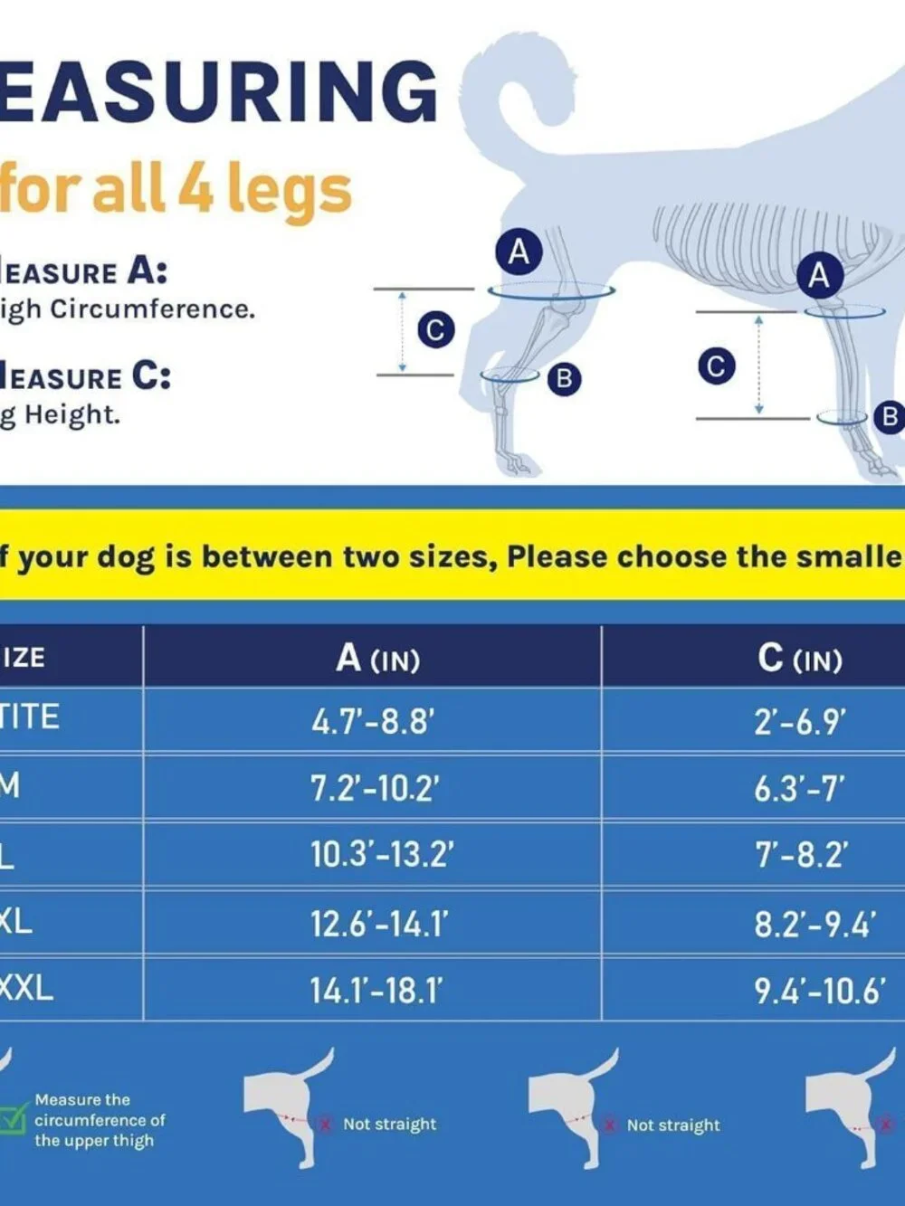 Dog Knee Brace for Hind Leg Support, Helps Stabilize ACL